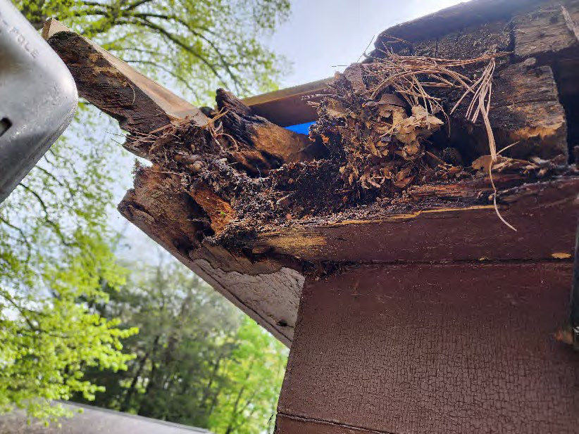 Detail shows deteriorated condition of Carriage House soffit uncovered during roof work.